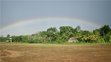 Group Banner Picture